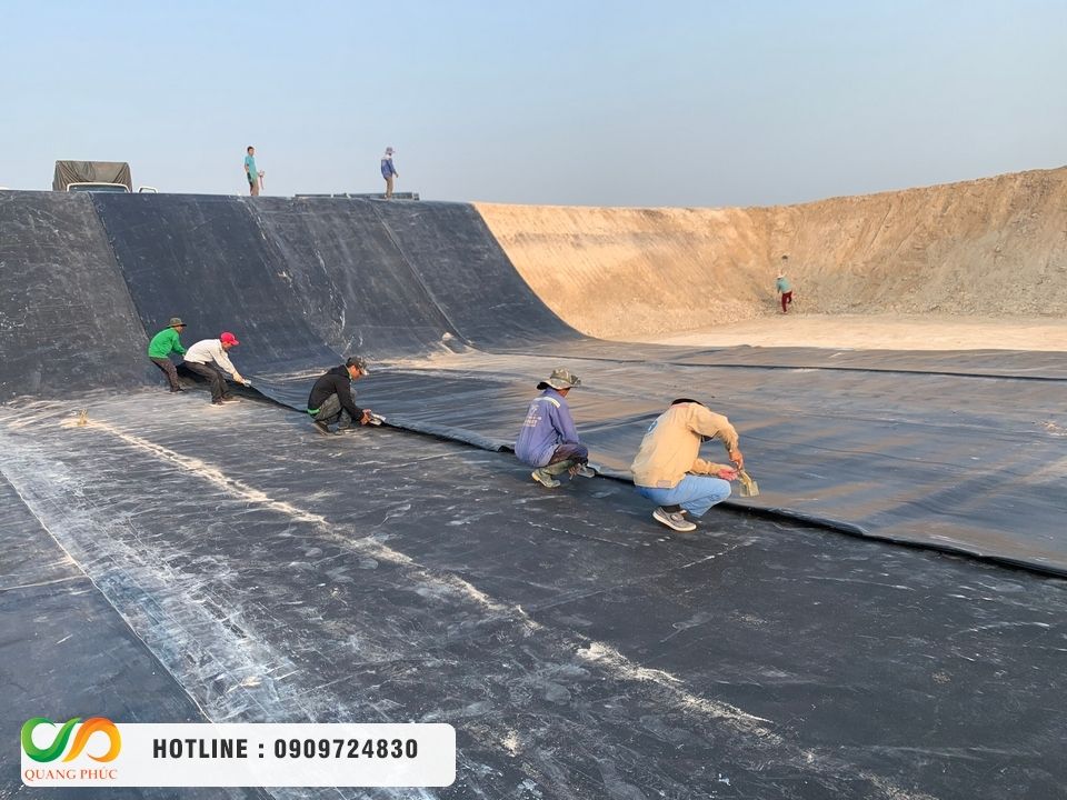 Tại sao bạt HDPE là lựa chọn số 1 cho hồ nuôi tôm tại miền Tây?