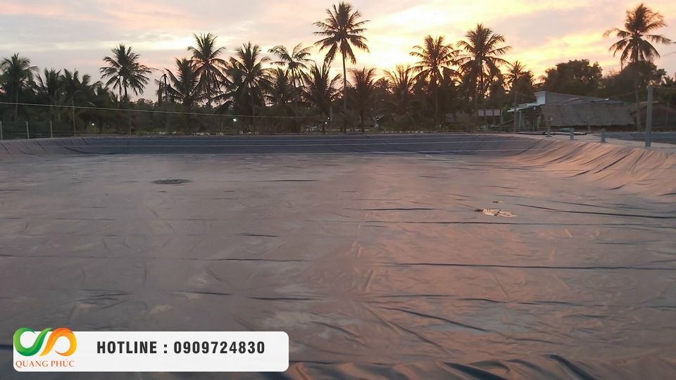 Báo giá bạt chống thấm HDPE cho hồ nuôi tôm khu vực miền Tây mới nhất