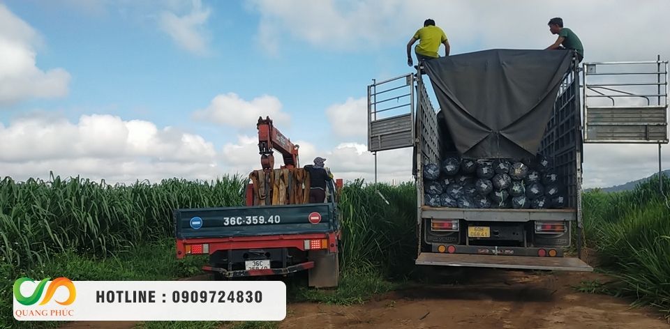 Chọn mua màng chống thấm HDPE, thi công bạt HDPE chọn Môi Trường Quang Phúc