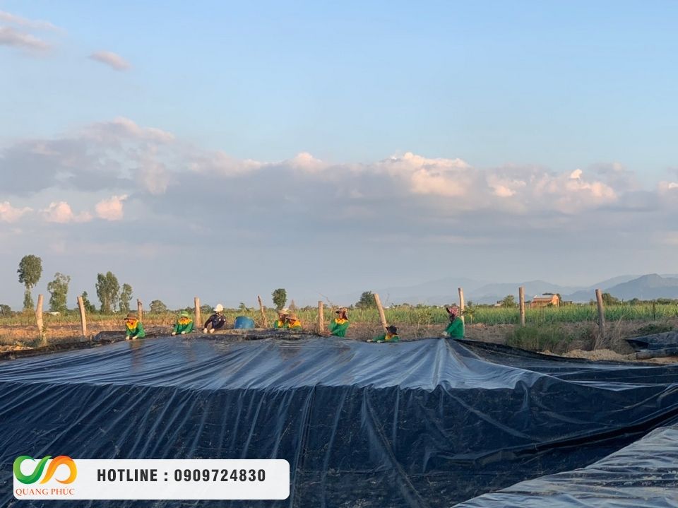 Chọn mua màng chống thấm HDPE, thi công bạt HDPE chọn Môi Trường Quang Phúc