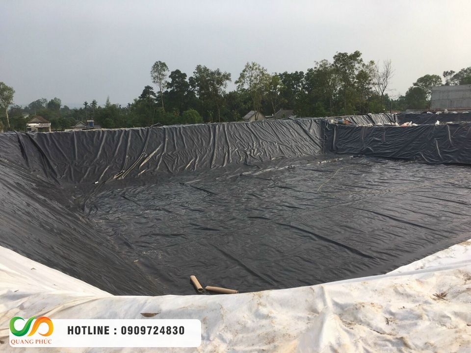 Phân tích giá bạt HDPE 5mm và hiệu quả đầu tư dài hạn