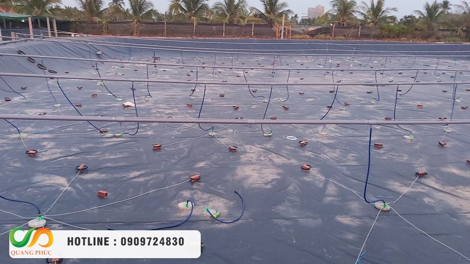 Đặc tính nước thải nhà máy bia và thách thức trong công tác xử lý