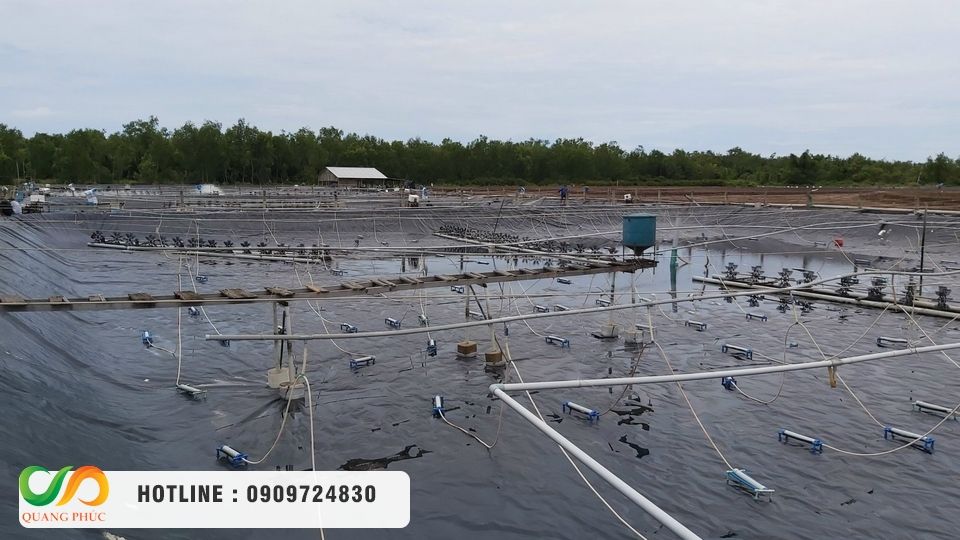 Chọn mua màng chống thấm HDPE, thi công bạt HDPE chọn Môi Trường Quang Phúc