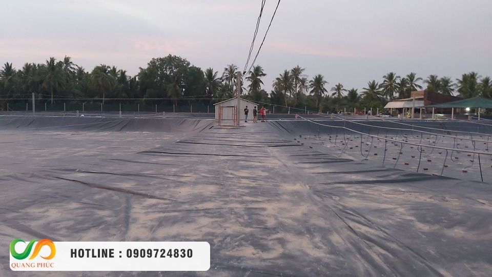 Mô hình phân phối trực tiếp từ nhà máy: Chìa khóa tối ưu chi phí cho khách hàng