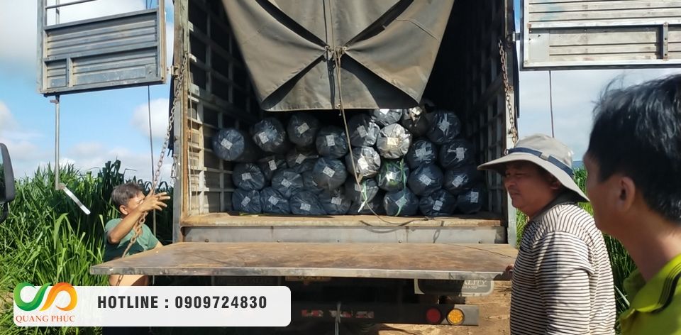 Chọn mua màng chống thấm HDPE, thi công bạt HDPE chọn Môi Trường Quang Phúc