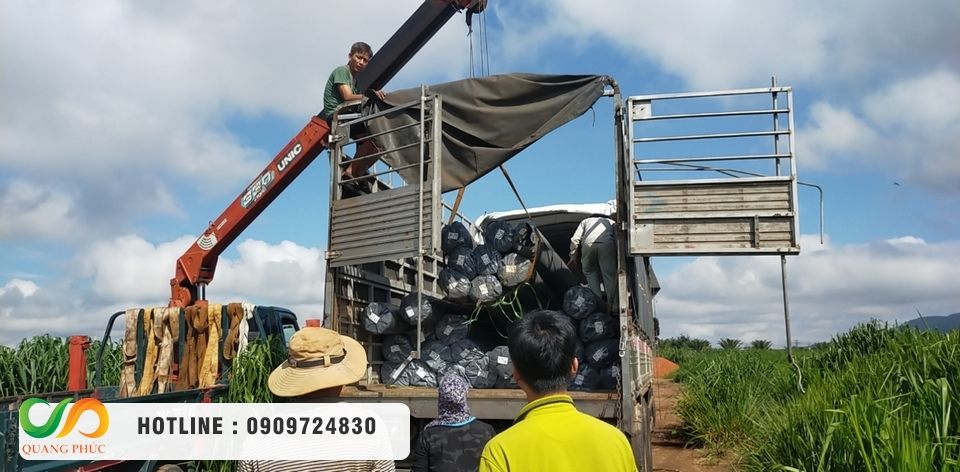 Tư vấn kỹ thuật: Quy trình thi công màng HDPE 1.5mm đạt chuẩn