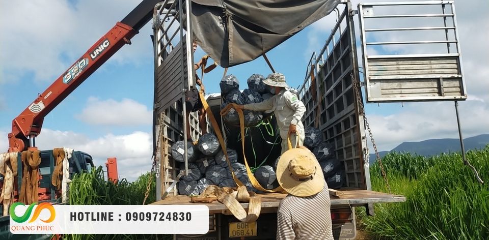 Chọn mua màng chống thấm HDPE, thi công bạt HDPE chọn Môi Trường Quang Phúc