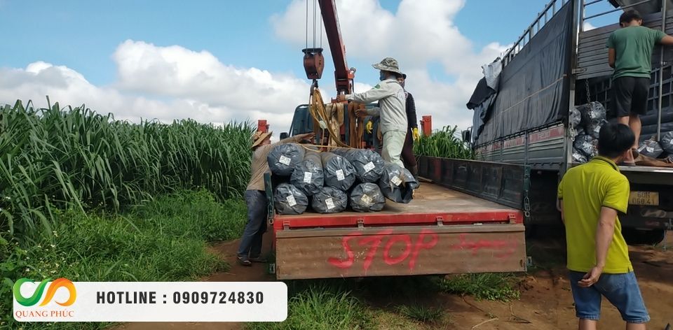 Quang Phúc – Đơn vị tư vấn và thi công màng HDPE uy tín cho ngành bia