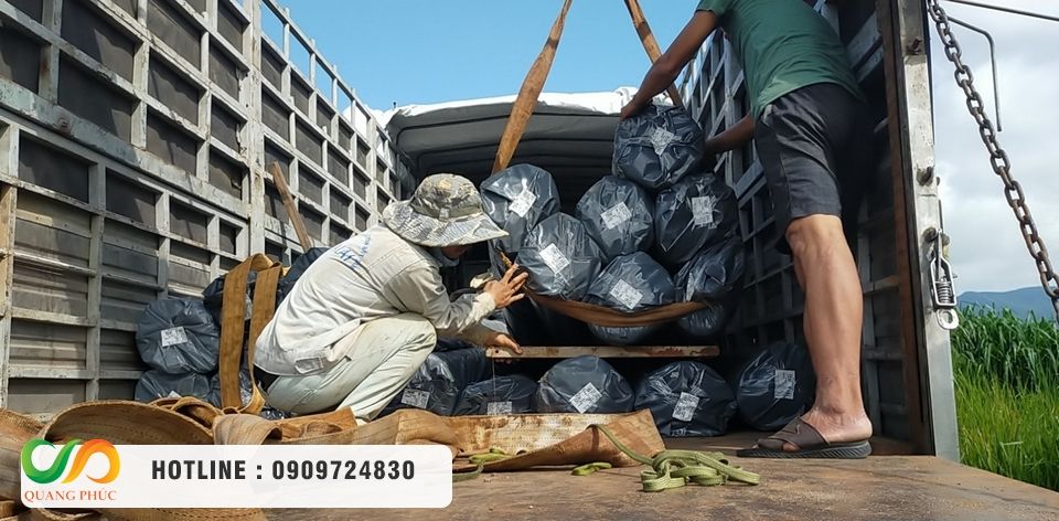 Bảng dự toán chi phí tham khảo cho các quy mô hồ nuôi phổ biến