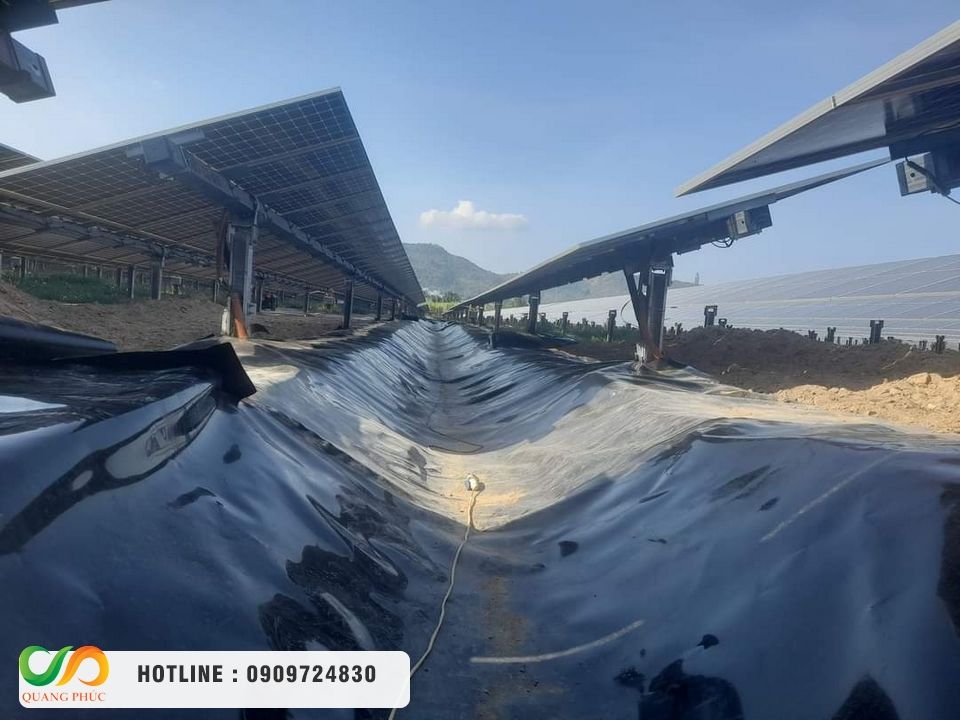 Tầm quan trọng của việc lập kế hoạch chi phí lót bạt hồ tôm trước vụ mùa