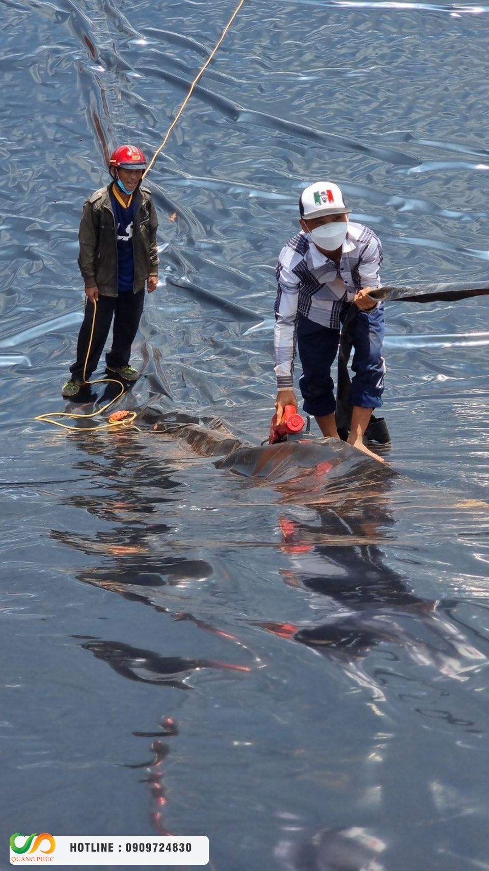 Tại sao bạt nhựa HDPE là lựa chọn số 1 cho hồ cá koi và cá cảnh?